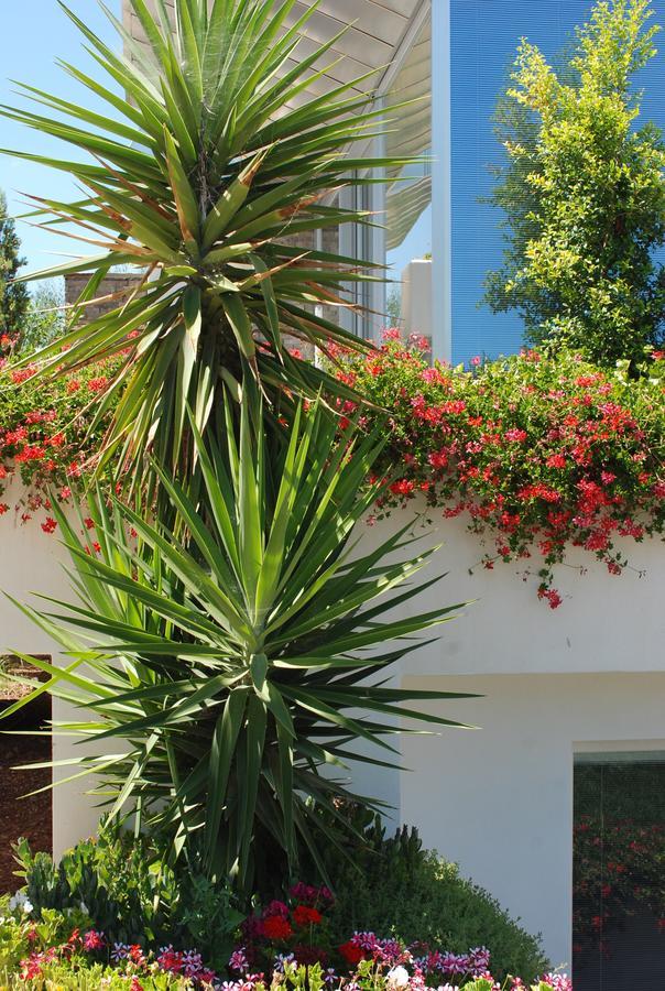 Hotel Torre Santamaria Resort Mattinata Eksteriør billede